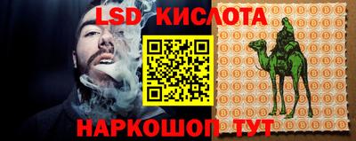 прущие крисы Камышлов