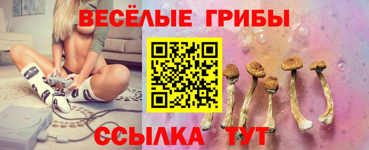 Псилоцибиновые грибы Cubensis Коломна