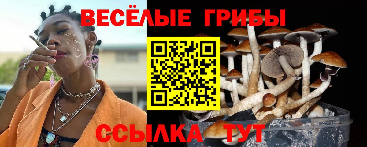 Галлюциногенные грибы мицелий  Вход с VPN  купить наркоту  Коломна 